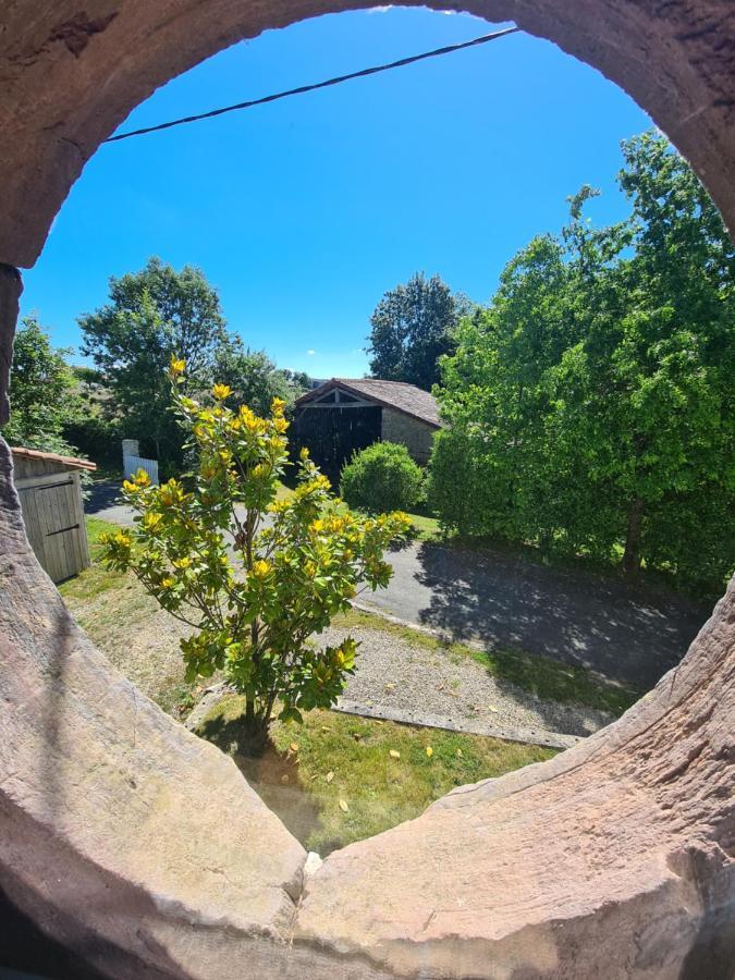 Вилла Le Terrier Maison De Campagne 250 M2 Grande Capacite 20 Couchages, 4500M2 De Terrain Saint-Pierre-du-Chemin Экстерьер фото